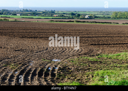 Terreni agricoli tipici paesaggi di campi arati dietro Thornham sulla Costa North Norfolk, Inghilterra Foto Stock