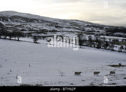 La neve e il campo di alcune pecore guardando verso Berwyn cava di ardesia a ferro di cavallo Pass Llangollen Foto Stock