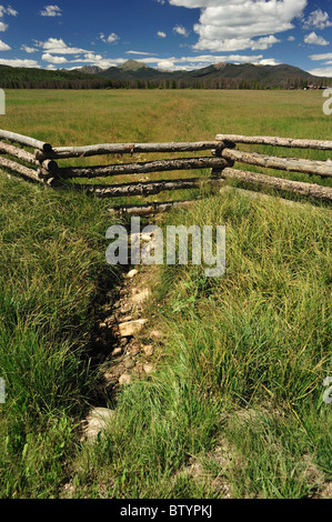 Letto asciutto del torrente, il Fraser river basin, Fraser, Colorado Foto Stock