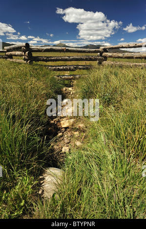 Letto asciutto del torrente, il Fraser river basin, Fraser, Colorado Foto Stock