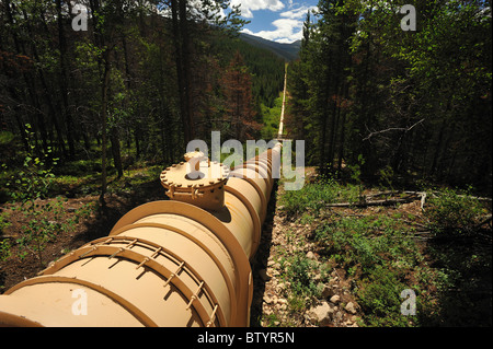 Deviazione di acqua pipeline, Fraser, Colorado Foto Stock