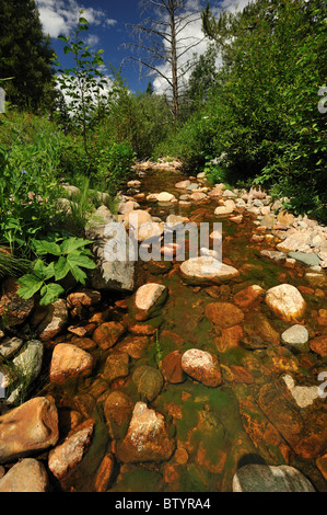 Jim Creek Dam diversione, Fraser river basin, Winter Park, COLORADO Foto Stock
