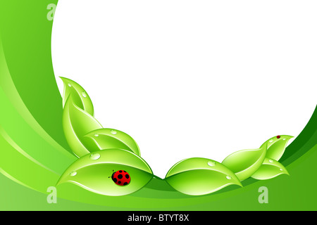 Natura astratta nozione in colore verde con coccinella Foto Stock