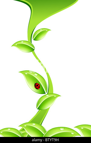 Natura astratta nozione in colore verde con coccinella Foto Stock