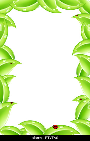 Natura astratta cornice con foglie di colore verde e Lady-bird Foto Stock