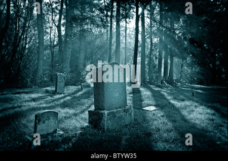 I fasci di luce brillare attraverso gli alberi e illumina le lapidi al Lummi Island, il cimitero di Washington su una mattinata nebbiosa. Foto Stock