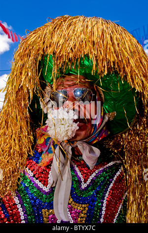 Sfilata di cultura brasiliana denominata " Caboclo de Lança' nella città di Nazaré da Mata durante il Carnevale 2008 Foto Stock