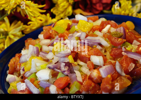 Il Giallo e il rosso dei pomodori, il bianco e il rosso le cipolle, il sedano e i peperoni tagliati a pezzetti su di una piastra Foto Stock