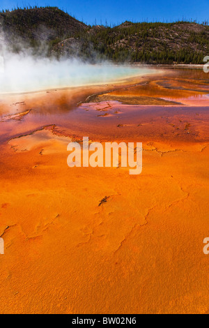 Yellowstone la coloratissima e incredibile Grand Prismatic Spring Foto Stock