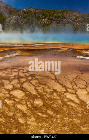 Yellowstone la coloratissima e incredibile Grand Prismatic Spring Foto Stock