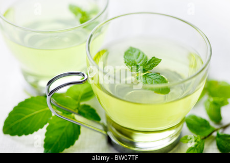 Vista dettagliata del tè alla menta fresca, circondato da di menta fresca Foto Stock