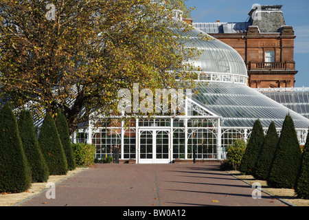 Glasgow Winter Garden in autunno sul Glasgow Green Public Park, Scozia, Regno Unito Foto Stock