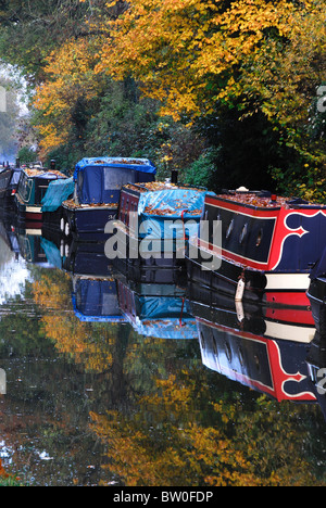 Canal barche ormeggiate vicino Pewsey Wharf, l'autunno. Wiltshire, Regno Unito Novembre 2010 Foto Stock