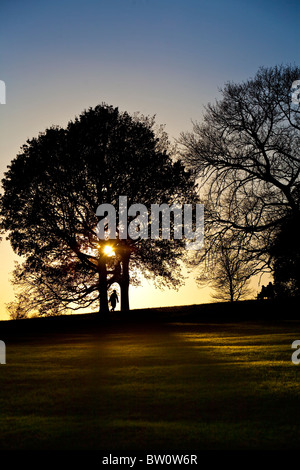 Un luminoso cielo invernale delinea wintery alberi sul pendio di una collina a Londra il famoso parco, Hampstead Heath. Foto Stock