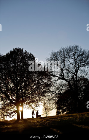 Un luminoso cielo invernale delinea wintery alberi sul pendio di una collina a Londra il famoso parco, Hampstead Heath. Foto Stock