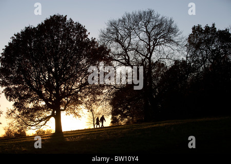 Un luminoso cielo invernale delinea wintery alberi sul pendio di una collina a Londra il famoso parco, Hampstead Heath. Foto Stock