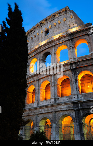 Colosseo di notte, vista in sezione trasversale che mostra tutti e quattro i livelli con cipresso Foto Stock