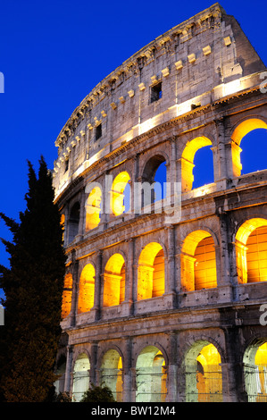 Colosseo di notte, vista in sezione trasversale che mostra tutti e quattro i livelli di notte con il cipresso Foto Stock