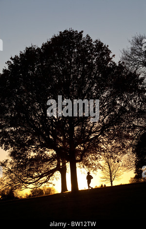 Un pareggiatore viene eseguito dal brillante come cielo invernale delinea wintery alberi sul pendio di una collina a Londra il famoso parco, Hampstead Heath. Foto Stock