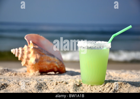 Margarita sulla spiaggia con conchiglia in background. Foto Stock