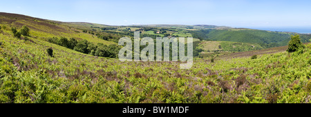 Una vista panoramica di Exmoor guardando a nord oltre Cloutsham verso Porlock Bay da Dunkery Hill, Somerset Foto Stock