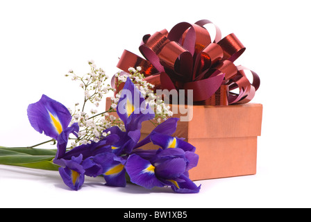 Bouquet di iridi e confezione regalo su sfondo bianco Foto Stock