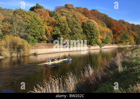 Canottaggio sul fiume usura all'interno di Durham City. Foto Stock