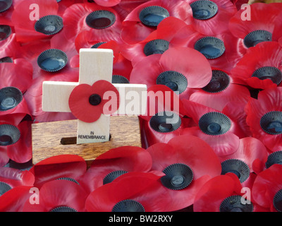 Papaveri prevista nella motivazione della Abbazia di Westminster il giorno dell'Armistizio nel 2010 Foto Stock