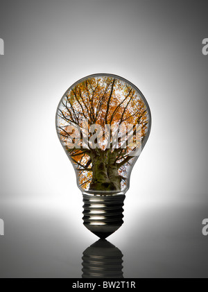 lampadina Foto Stock