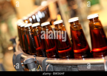 Bottiglie di Vino Spy raffreddatore della Siam Winery e vigneti situati in Samut Sakhon, a sud di Bangkok, Tailandia. Foto Stock