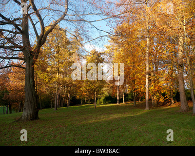 Colore di autunno a Stowe giardini paesaggistici, Bucks, Regno Unito Foto Stock