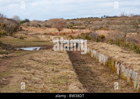 Letto di essiccato fino leat e granito attraversando ponte sulla brughiera vicino a Plymouth, DEVON REGNO UNITO Foto Stock