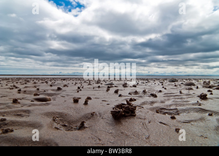 Palo di lugworm sulla spiaggia con le nuvole e il cielo Foto Stock