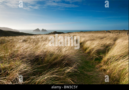 Nel tardo pomeriggio vista verso Holywell Bay e del carter o rocce di gabbiano in distanza Foto Stock