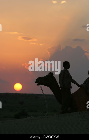 Cammelli al tramonto a Sam, vicino a Jaisalmer, Rajasthan, India Foto Stock