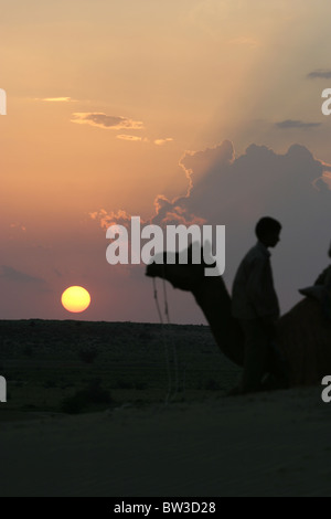 Cammelli al tramonto a Sam, vicino a Jaisalmer, Rajasthan, India Foto Stock