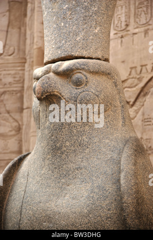 Dettaglio del granito falcon statua all'ingresso del tempio tolemaico di Horus nell'antica città di Edfu in Egitto Foto Stock