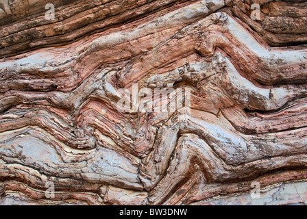 Boquillas la formazione di calcare e di Scisto strati intrecciati in Ernst Canyon, il deserto del Chihuahuan nel Parco nazionale di Big Bend, Texas, Stati Uniti d'America Foto Stock