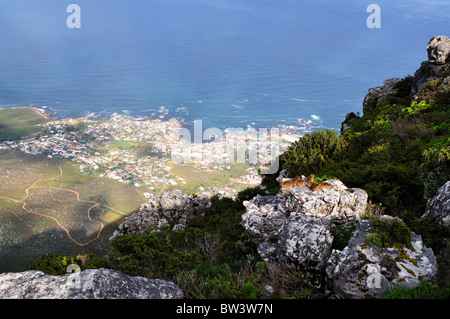 Vista dalla Montagna della Tavola. Città del Capo, Sud Africa. Foto Stock