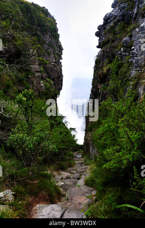 Platteklip Gorge. Table Mountain National Park, di Città del Capo, Sud Africa. Foto Stock
