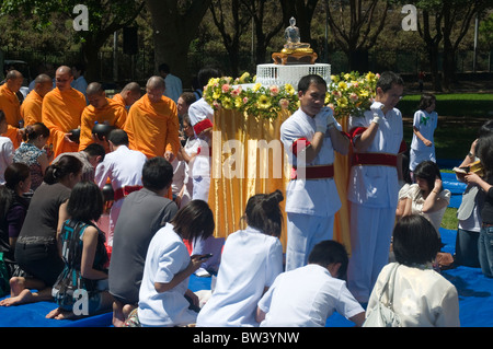 Buddista tailandese elemosina cerimonia in Belrose Park, Sydney, Australia Foto Stock