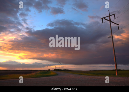 Strade di ghiaia e hydro linee durante una serata estiva sulle praterie di Alberta Foto Stock