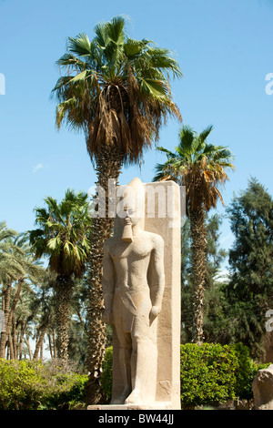 Aegypten ha, Memphis, statua von Ramses II Foto Stock