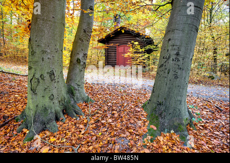 Log Cabin in Glienicker Park, Berlino, Germania Foto Stock