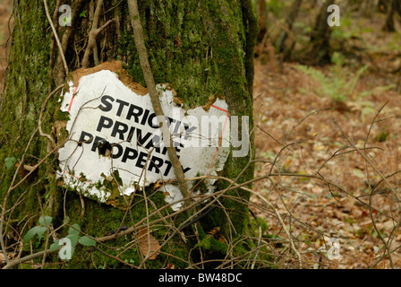 Un 'strictly proprietà privata' segno su un albero nel bosco in Inghilterra. Foto Stock