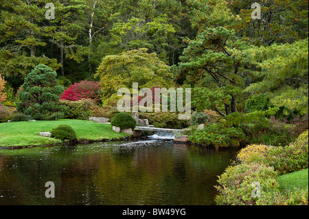 Azalea Asticou giardino pubblico, Northeast Harbor, Maine, Stati Uniti d'America Foto Stock