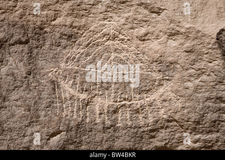 Close up scolpiti barca con equipaggio, remi e armamento vicino a Kanais Tempio del Deserto Orientale dell'Egitto. Foto Stock