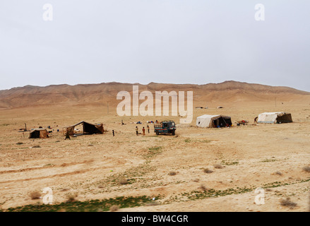 Insediamento beduino nel deserto siriano. Foto Stock