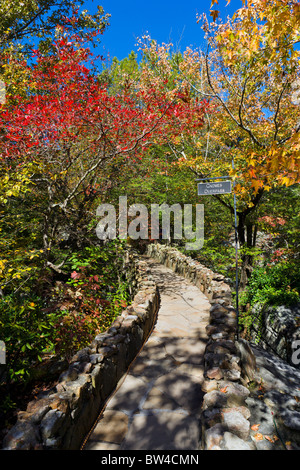 Caduta delle Foglie in Rock City Gardens a Lookout Mountain, Georgia, vicino a Chattanooga, Tennessee, Stati Uniti d'America Foto Stock