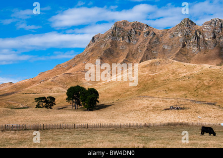 Te Mata Peek,Tukituki Valley,Fiume,Te Mata Rd,Colline di Kaokaoroa, gamme Raukawa,Hawke's Bay,Havelock North, Nuova Zelanda Foto Stock